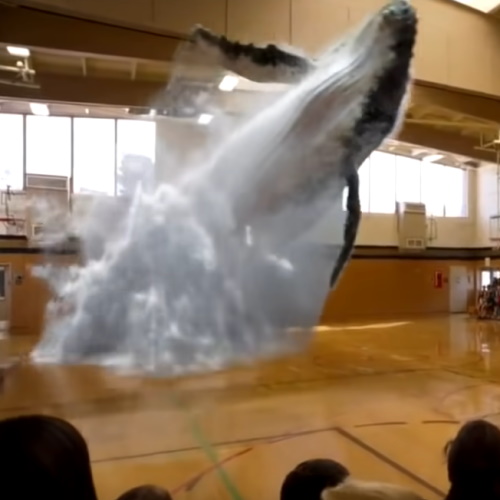 直到我们看到鲸鱼在教室多长时间?
